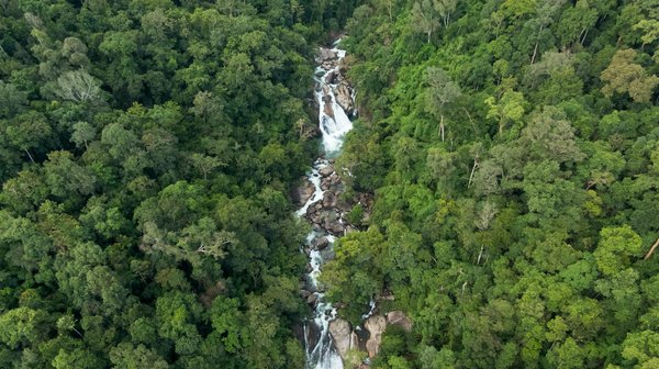 Quelles innovations médicales façonnent le futur de la santé ?